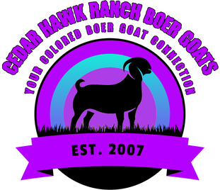 Cedar Hawk Ranch Boer Goats - Your Colored Boer Goat Connection
